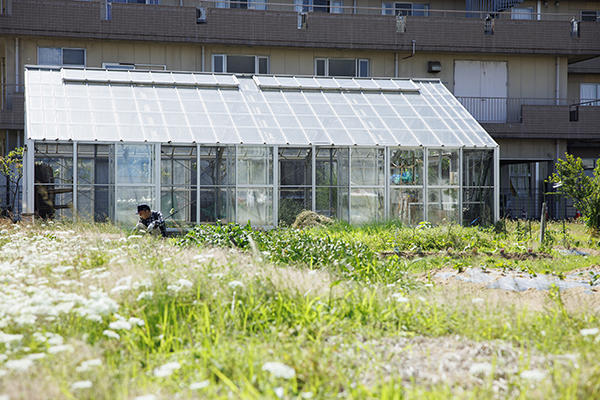 リハビリ農園、温室